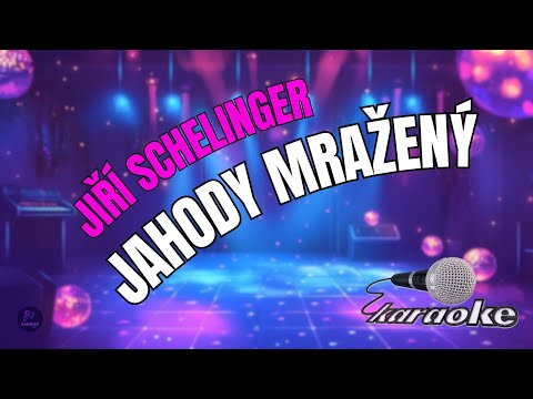???? Jiří Schelinger – Jahody mražený | Karaoke s textem ????