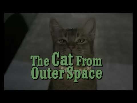 le chat qui vient de l'espace extrait 2