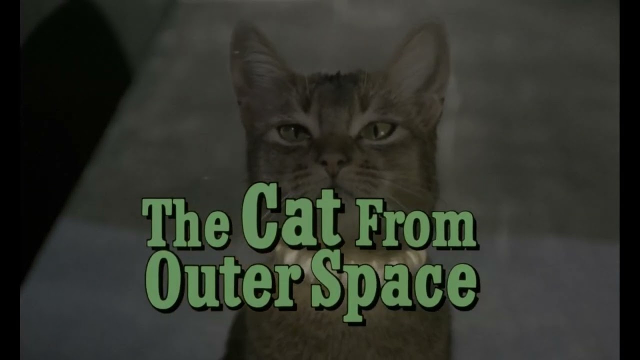 Miniature de la vidéo le chat qui vient de l'espace extrait 2 du film Le Chat qui vient de l'espace