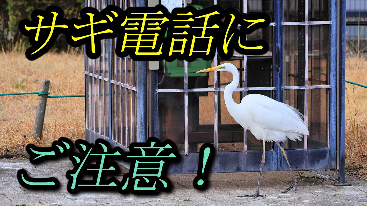 サギ電話に、ご注意！