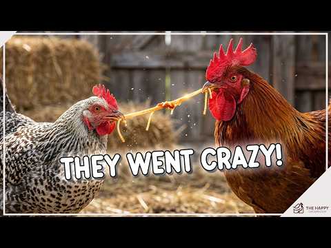 Pasta for Chickens: Good Treat or Bad Idea?