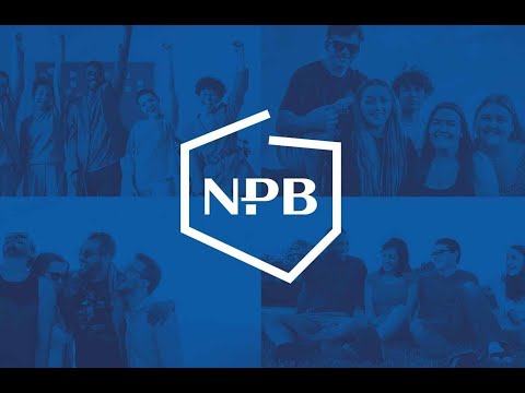 Panel NPB