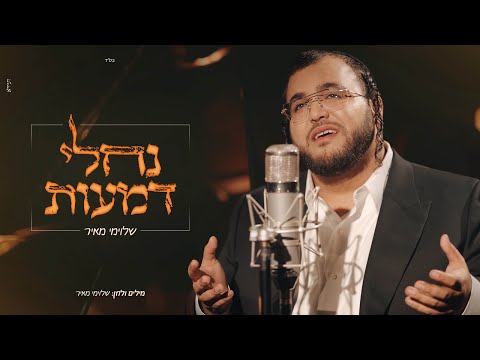 שלוימי מאיר - נחלי דמעות | Shloime Meir - Nahlei Dmaot