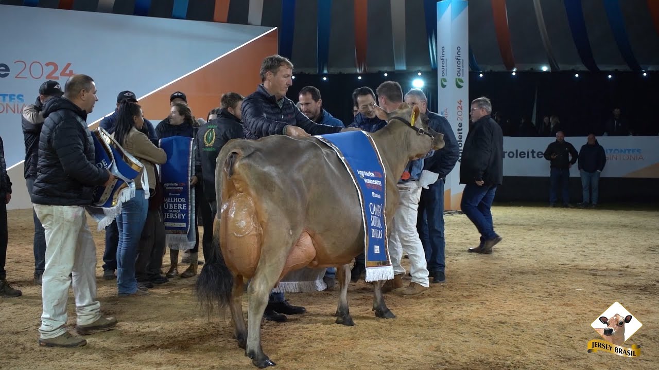 Jersey conquista prêmio de Suprema Campeã das Raças do Agroleite 2024