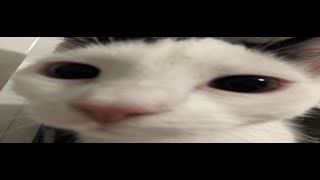 [TOP 50] Midnight 86% | Geometry Dash 2.2