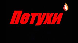 Петухи