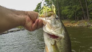 Post Spawn Bass Fishing (Topwater & Spinnerbaits!!!)