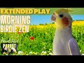 Morning Birdie Zen Meditation Music For Birds 9HRS EXTENDED PLAY Parrot TV For Your Bird Room