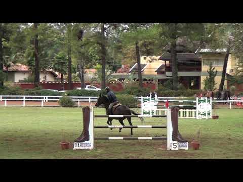 CORNETS GOLDRA JMAN - 5 ETAPA DE SALTO SHRP 1,40M.