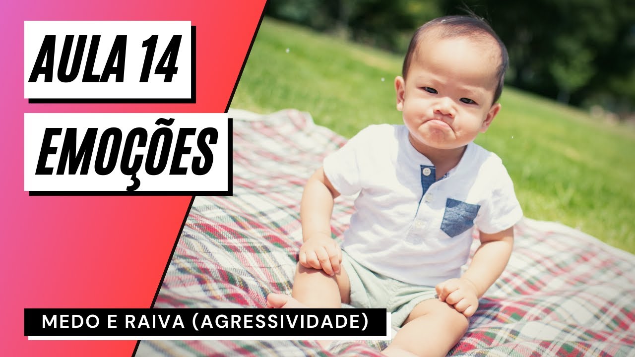 Videoaula 14 Emoções - MEDO E RAIVA (AGRESSIVIDADE)