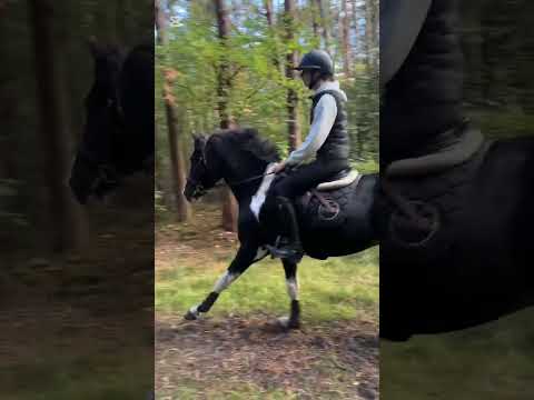 Eventing!