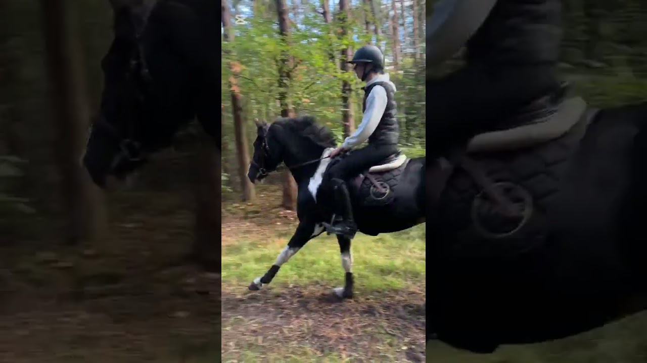 Raymundo is de man van de bergen video 2