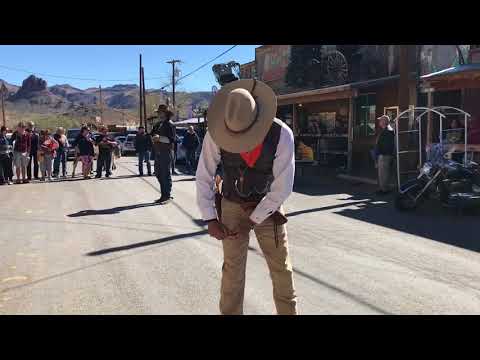 Adventures of Miss Belle and Miss Roe