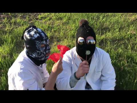 tel. 511 - "Born For Korn"