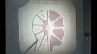 Dr. Llaila Afrika- Diabetes: Sugar Demon