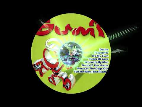 Bump Vol 7 - Freestyler radio edit