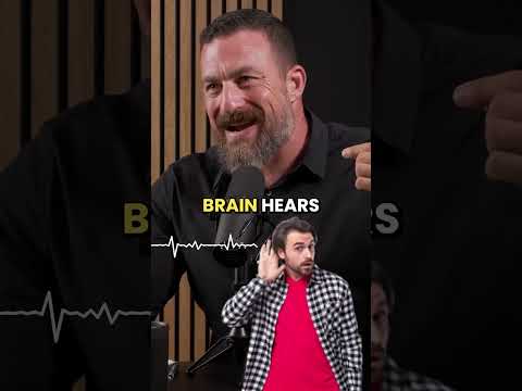 "The Secret Effect of Deep Sounds on Your Brain | Insights by Andrew Huberman"