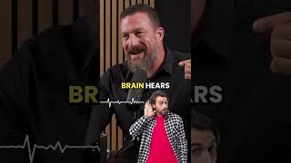 Download lagu 'Pengaruh Rahasia Suara Dalam pada Otak Anda | Wawasan oleh Andrew Huberman' mp3 Download lagu 'Pengaruh Rahasia Suara Dalam pada Otak Anda | Wawasan oleh Andrew Huberman' mp3