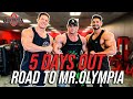 Road to Mr.Olympia | 5 Days Out | Lezione Posing | Workout Spalle