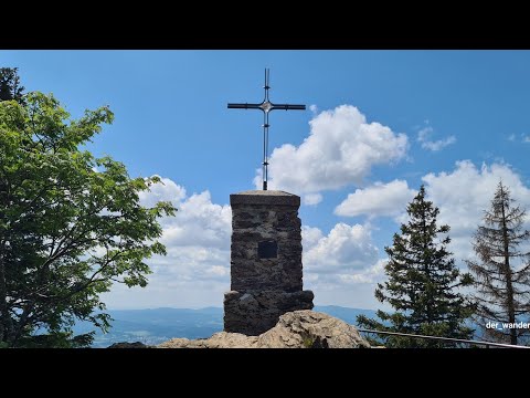 2 Giggerl 🐓 8 Hennen 🐔 Wanderung durchs Höllbachgespreng Großen Falkenstein #bayern #nationalpark