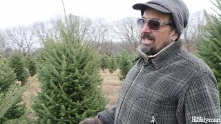 Tips for Cutting Down Your Own Christmas Tree