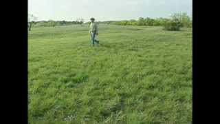 preview picture of video 'Treadwell Brady Ranch - 2006 Leopold Conservation Award Winners'