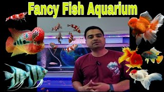 Fancy Fish Aquarium New Fish Stock | All India Delivery