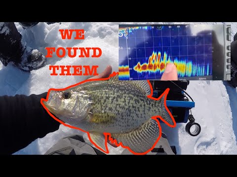 Panoptix Is CHEATING! (Its TOO Easy)