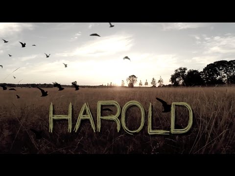 "Harold" Short Film