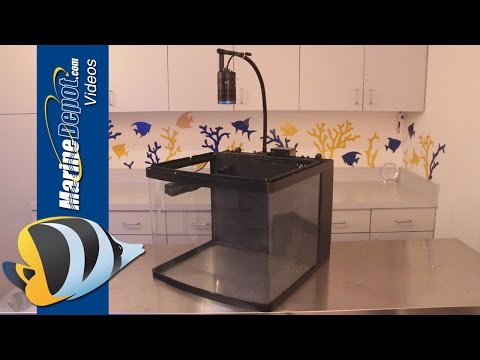 BioCube Hacks: 6 Easy Ways to Upgrade Your Nano