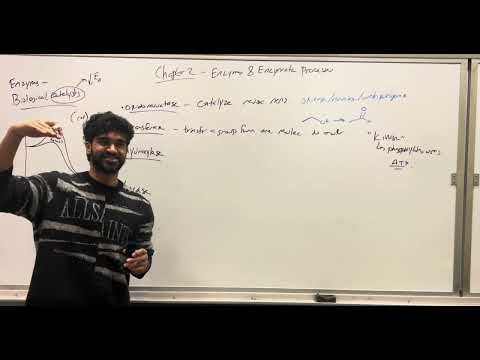 MCAT Biochemistry, Chapter 2- Enzymes and Enzymatic Processes (Part 1)