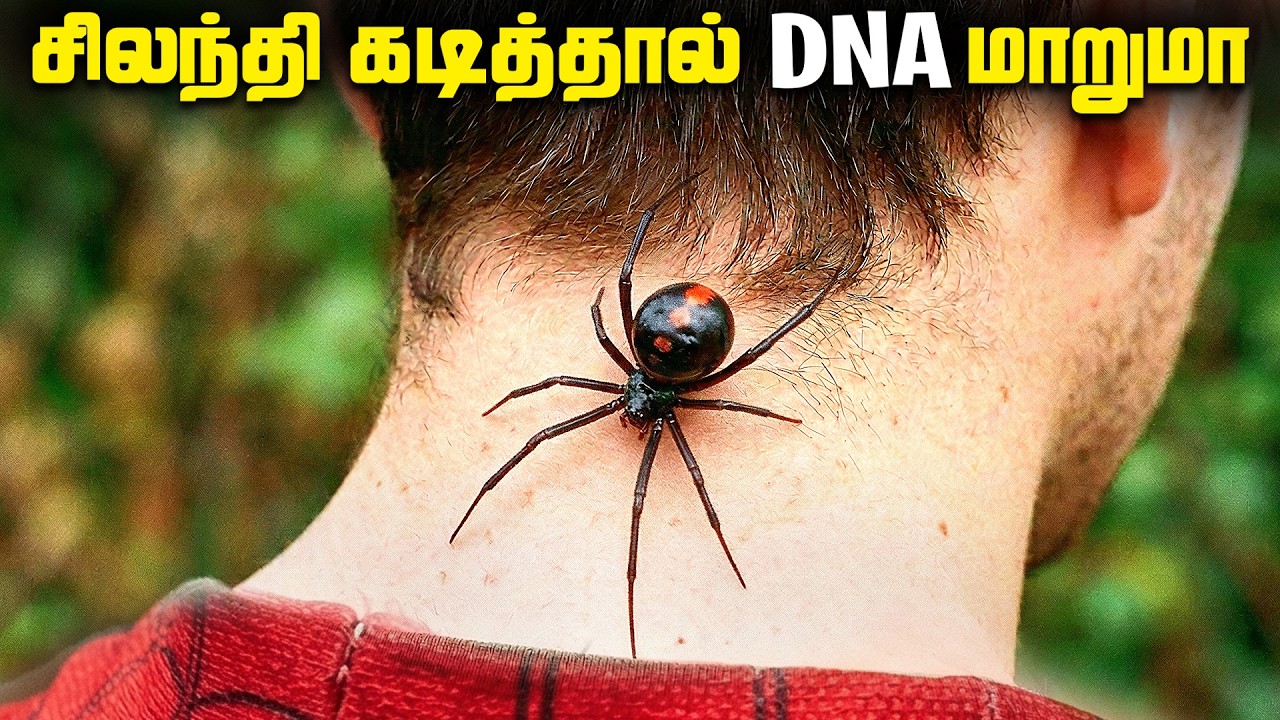 சிலந்தி கடித்தால் DNA மாறுமா ? - Black Widow Spider Facts