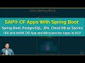 SAP Cloud Foundry Application With Spring Boot SAP Cloud Platform PostgreSQL In CF HDI In SCF