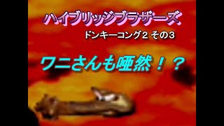 ドンキーコング２_その3[ハイブリッジブラザーズ]