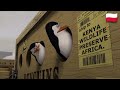 Madagascar Ship To Kenya Polish