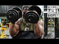 Back & Biceps Workout For Thicker Back and Fuller Biceps | Day 2 - Week 3
