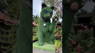 Download lagu This cat is really alive! 🥰 #funny #cats #catvideos #tiktok #social #usafunny #catlovers #funpage mp3 Download lagu This cat is really alive! 🥰 #funny #cats #catvideos #tiktok #social #usafunny #catlovers #funpage mp3