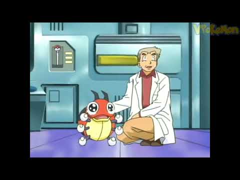 Ledyba attacks Professor Oak | Professor Oak Funny Moments
