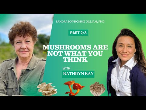 Unlocking the Power of Mushrooms: Food, Medicine & Earth Connection with Kathryn Kay (Part 2/3)