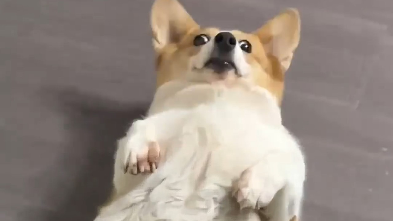 UNUSUAL MEMES COMPILATION V370