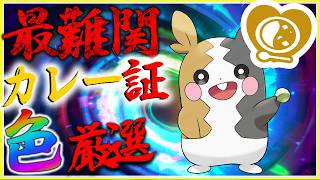 【最難関】世界一楽しいカレー証色違いモルペコ厳選する【ポケモン剣盾】