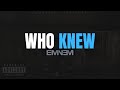 Eminem - Who Knew [Lyrics] [4KUHD]