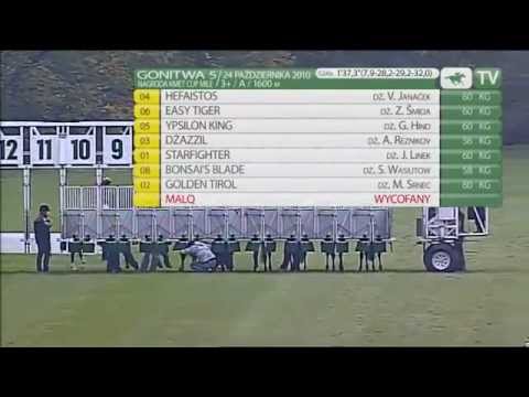 Warszawa 2010-Kmet Cup Mile-Hefaistos(DS Pegas)-Václav Janáček