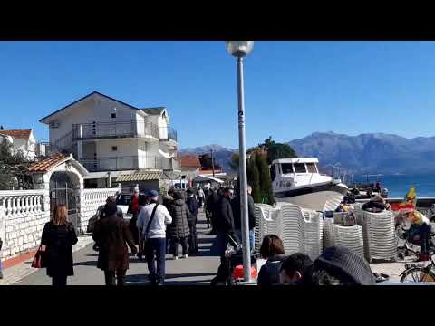 Dani 'Mimoze' i Lepa Brena