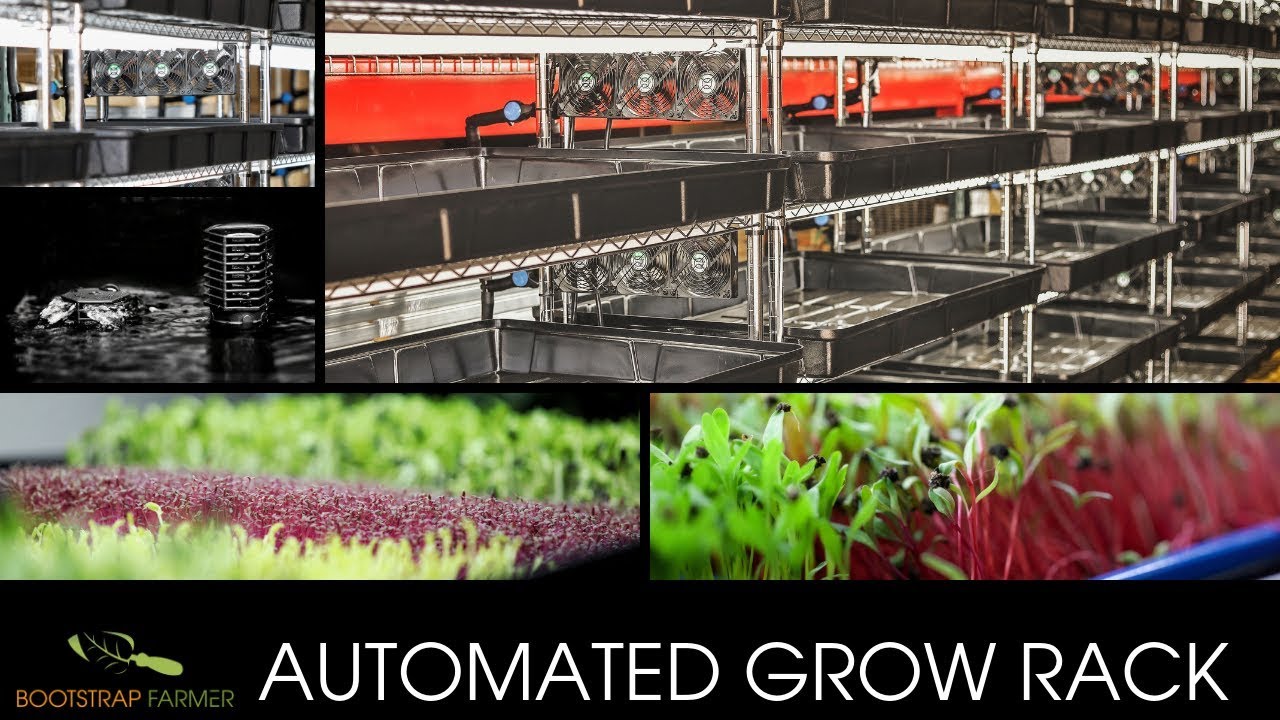 Bootstrap Farmer Automated Grow Rack Preview