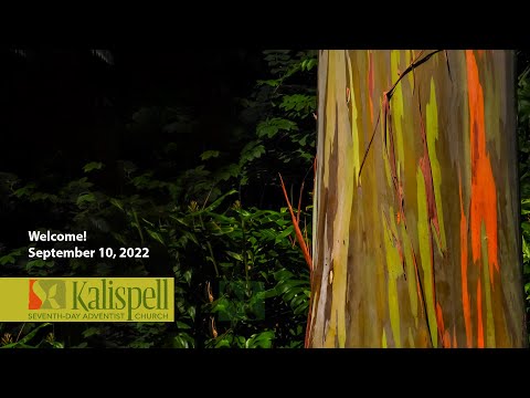 KSDA - Dennis Blum. Distraction and The Soul Assassin. (9/10/22)