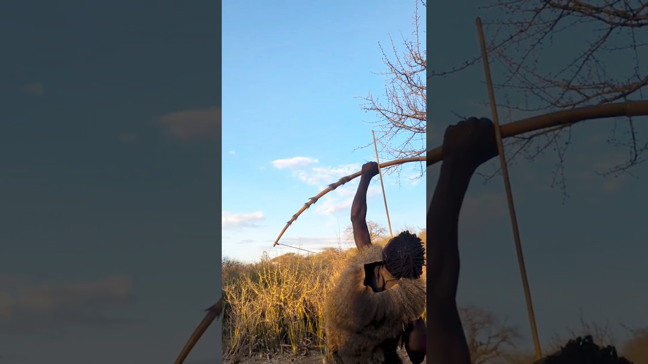 A Perfect Arrow in the Sky! हवा में कमाल का निशाना! Flecha perfeita no céu!