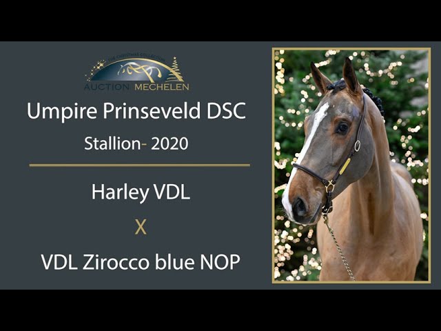 Umpire Prinsenveld DSC