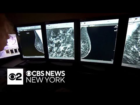 People can assess their breast cancer risk with the help of AI