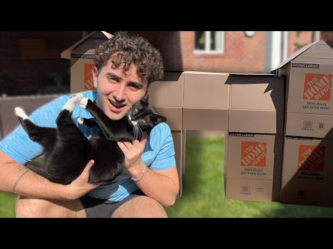 24 Hours in a GIANT Cardboard with my Cat...